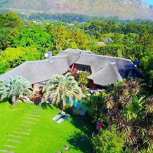 Thulani River Hout Bay